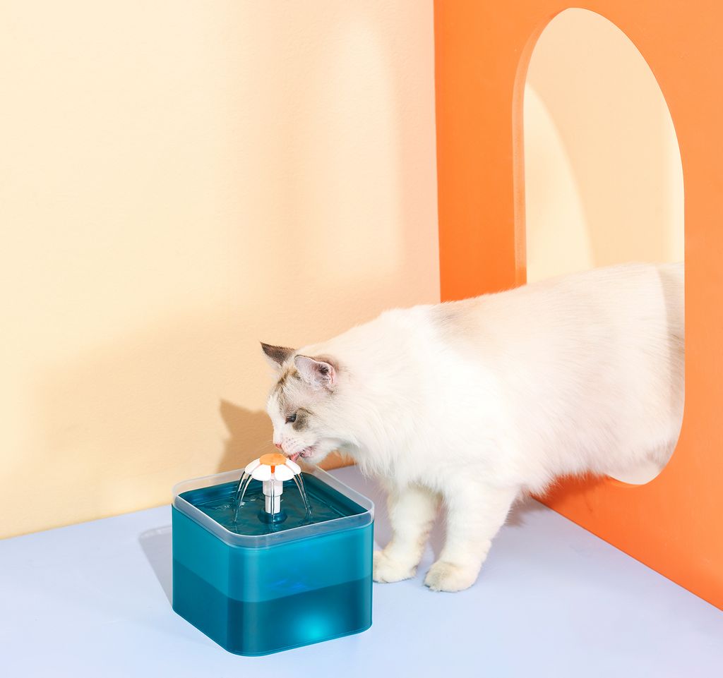 😺FuenteFlora💧